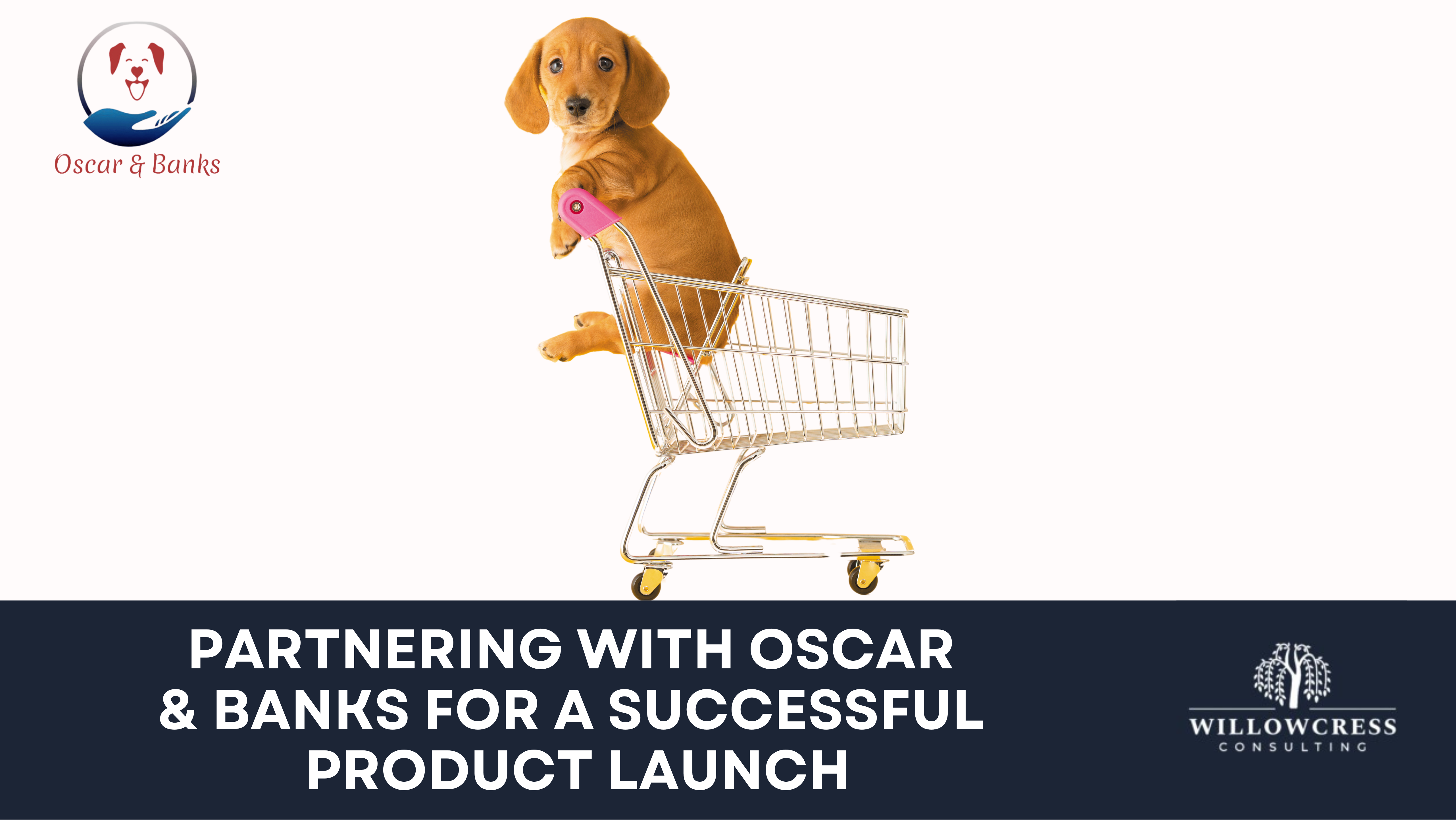 Partnering with Oscar & Banks for a Successful Product Launch