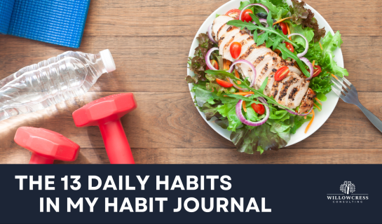 The 13 Daily Habits in my Habit Journal