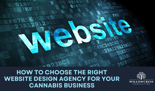 How to Choose the Right Website Design Agency for your Cannabis Business