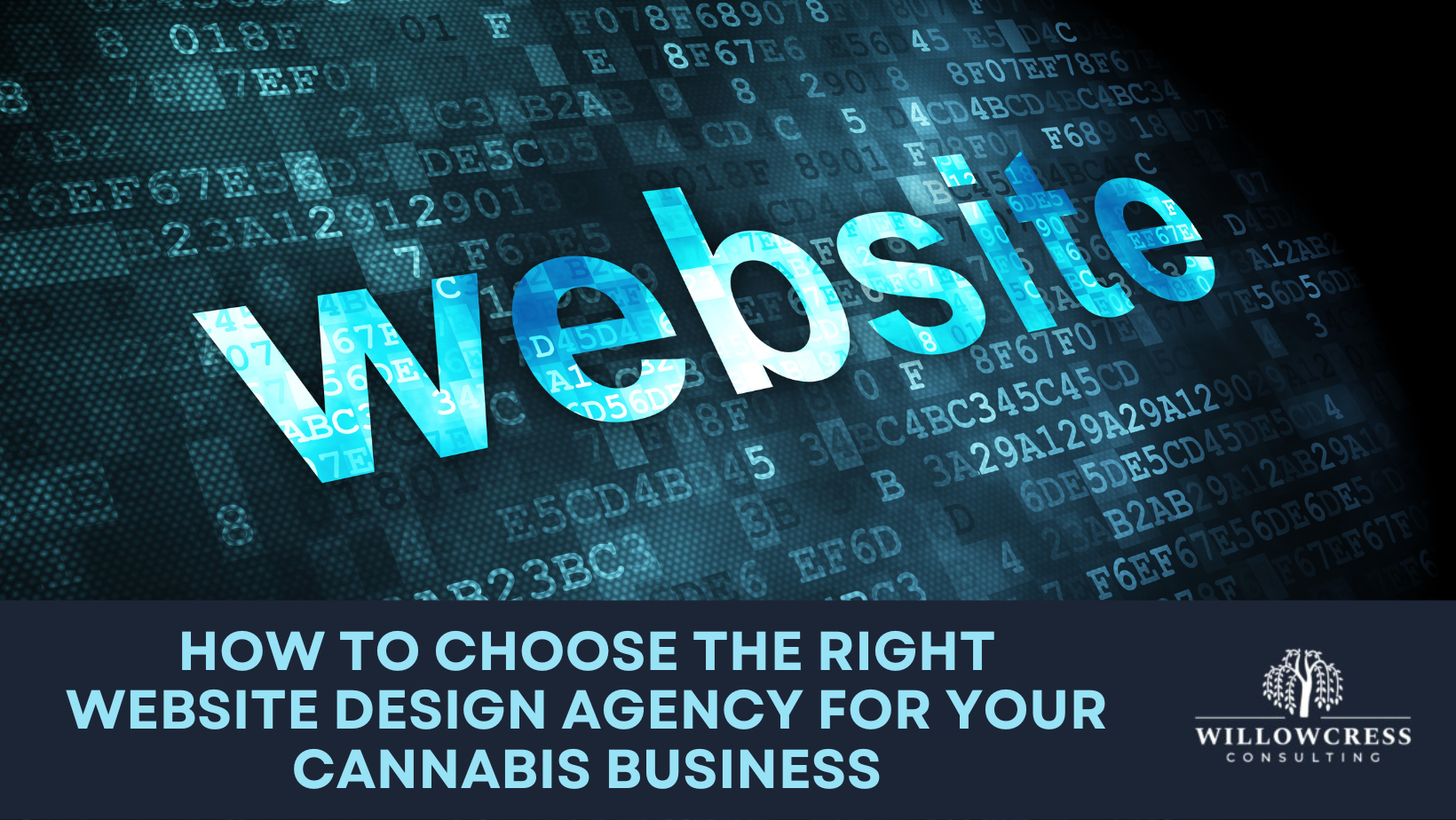 How to Choose the Right Website Design Agency for your Cannabis Business