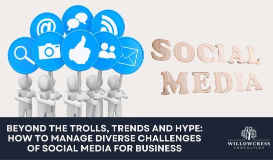 Beyond the Trolls, Trends and Hype: How to Manage Diverse Challenges of Social Media for Business