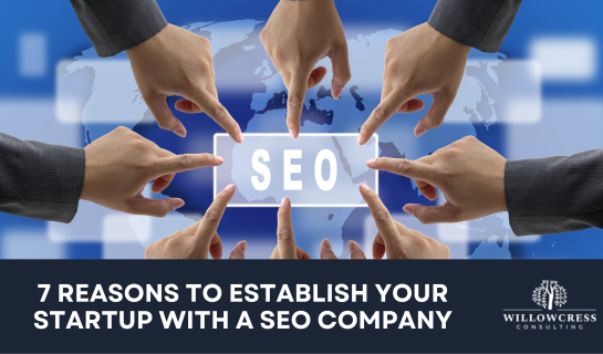 7 Reasons to Establish Your Startup with a SEO Company