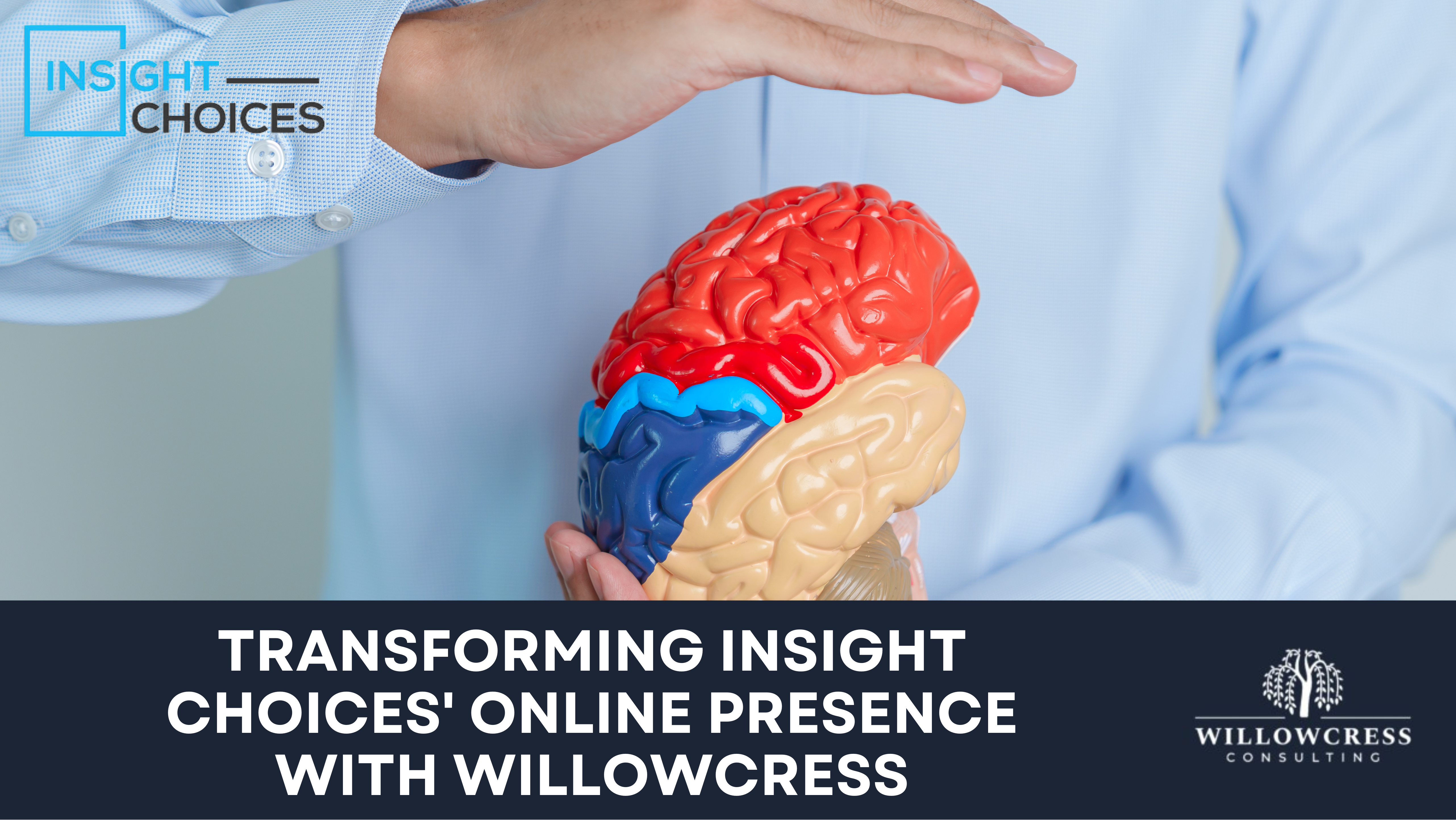 Transforming Insight Choices’ Online Presence with WillowCress