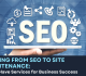 From SEO to Site Maintenance: Must-Have Services for Business Success