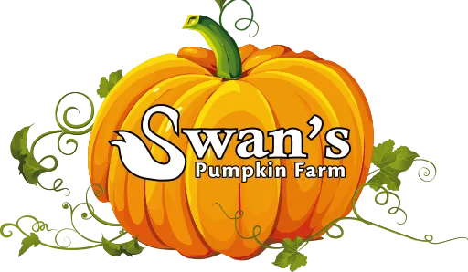 Swan-Pumpkin-Farm.png