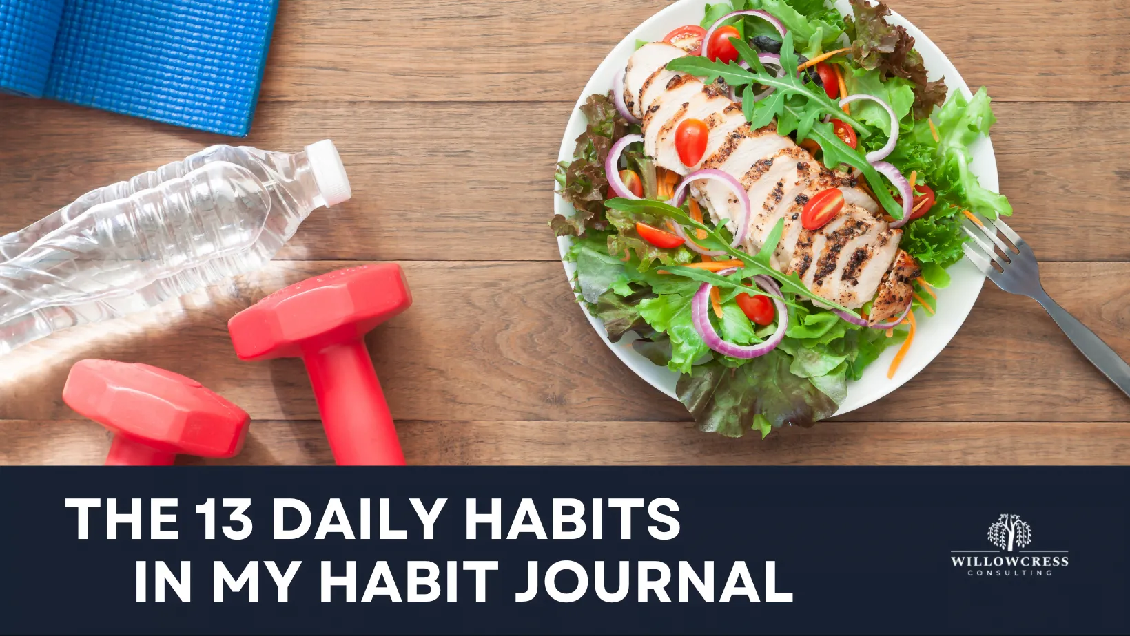 The 13 Daily Habits in my Habit Journal